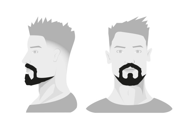 Типы бороды: короткая шотландская борода