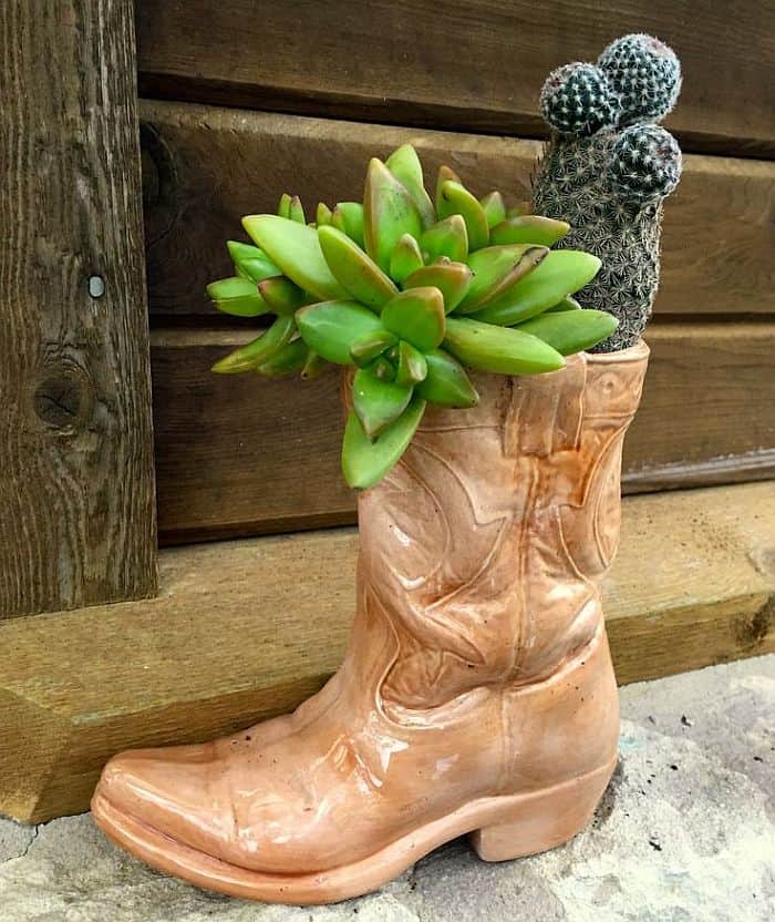 Old boot cactus planter