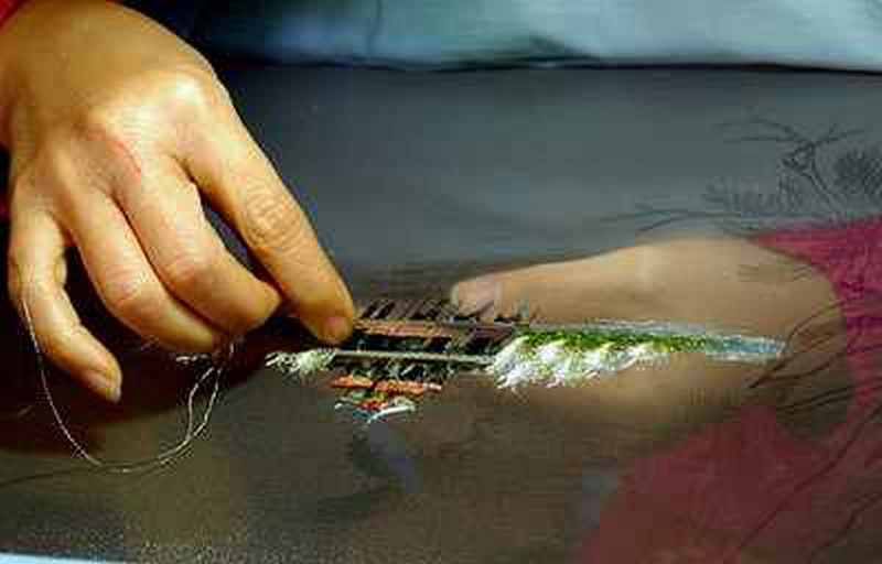 Традиционная сучжоуская вышивка — драгоценная живопись шелком по шелку, фото № 9