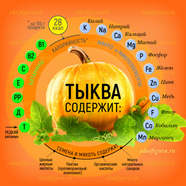 польза тыквы фото