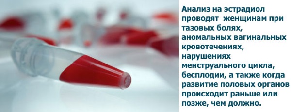 Эстрадиол, норма у женщин по возрасту: таблица. Что за гормон, когда сдавать анализ, как повысить, понизить, при беременности