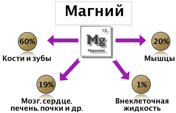 Магний для женщин. Суточная доза, для чего, какой комплекс лучше, как пить