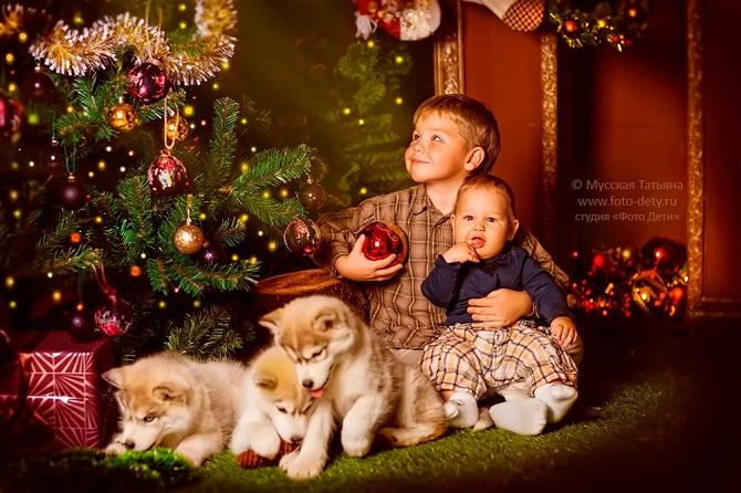 образы для новогодней фотосессии мальчиков