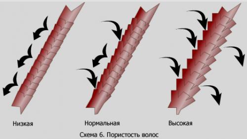 Уход за пористыми волосами в домашних условиях. Причины пористости и уход за поврежденными волосами