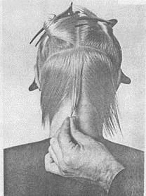 Схема короткая женская стрижка. Как правильно подстричь женщину – пошагово 03
