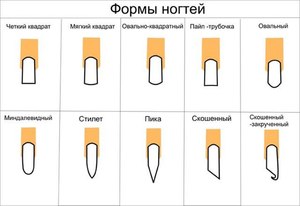 Форма и длина ногтей