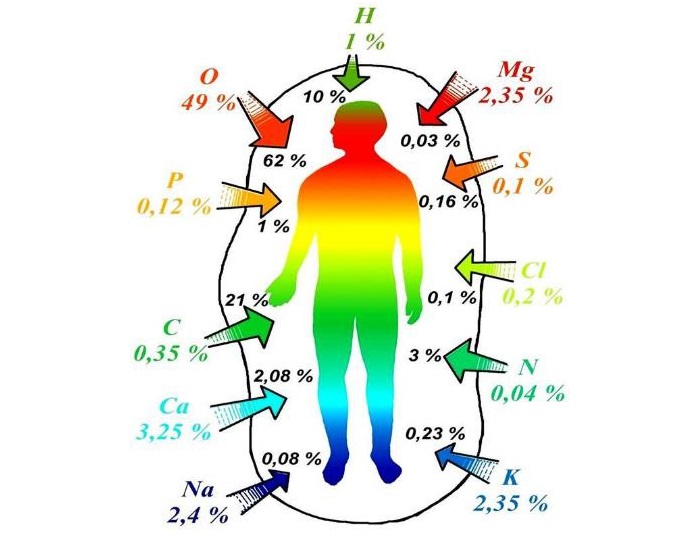 Содержание химических элементов в организме человека