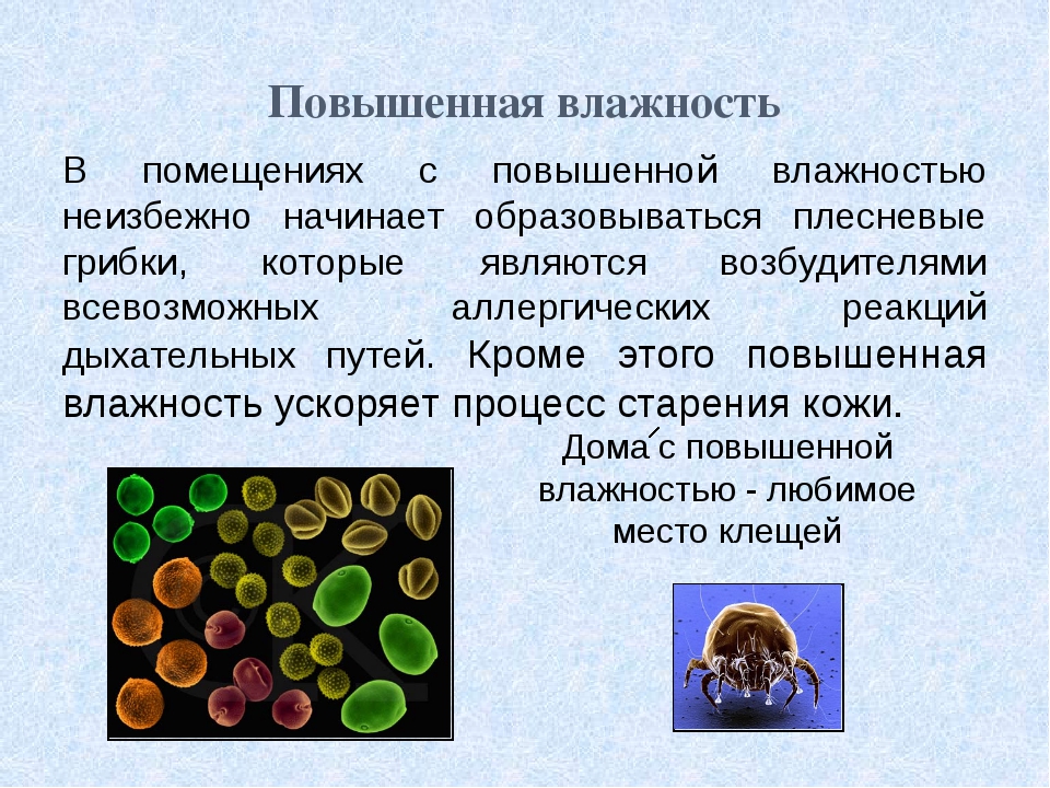 повышенная влажность