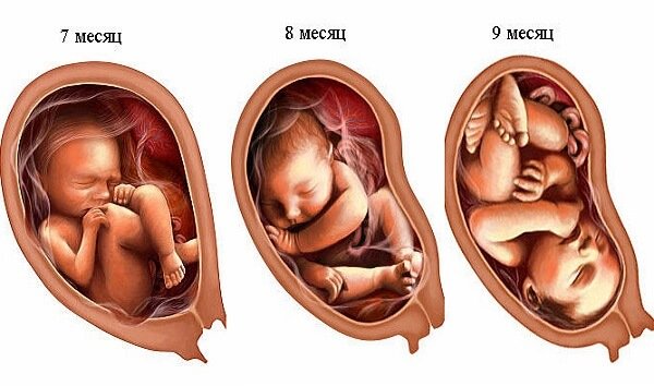 Триместры беременности - последние месяцы 