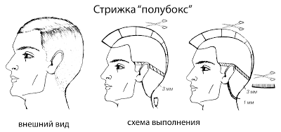 Схема стрижки