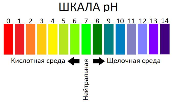 шкала уровней pH