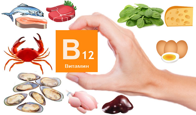 Ы каких продуктах содержится витамин b12