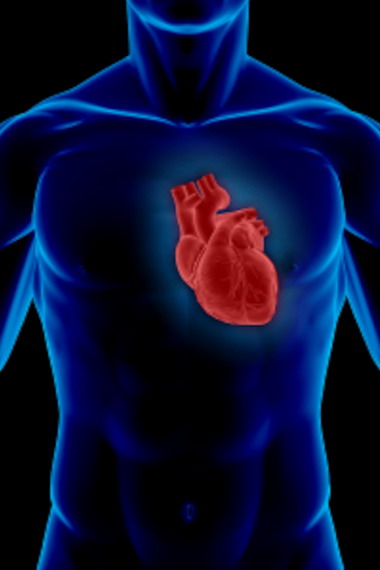 Дыхательные упражнения для сердца и сосудов