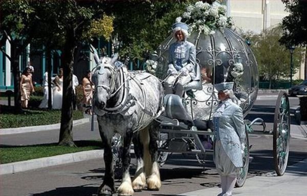 Подборка свадебных фотографий (99 фото)